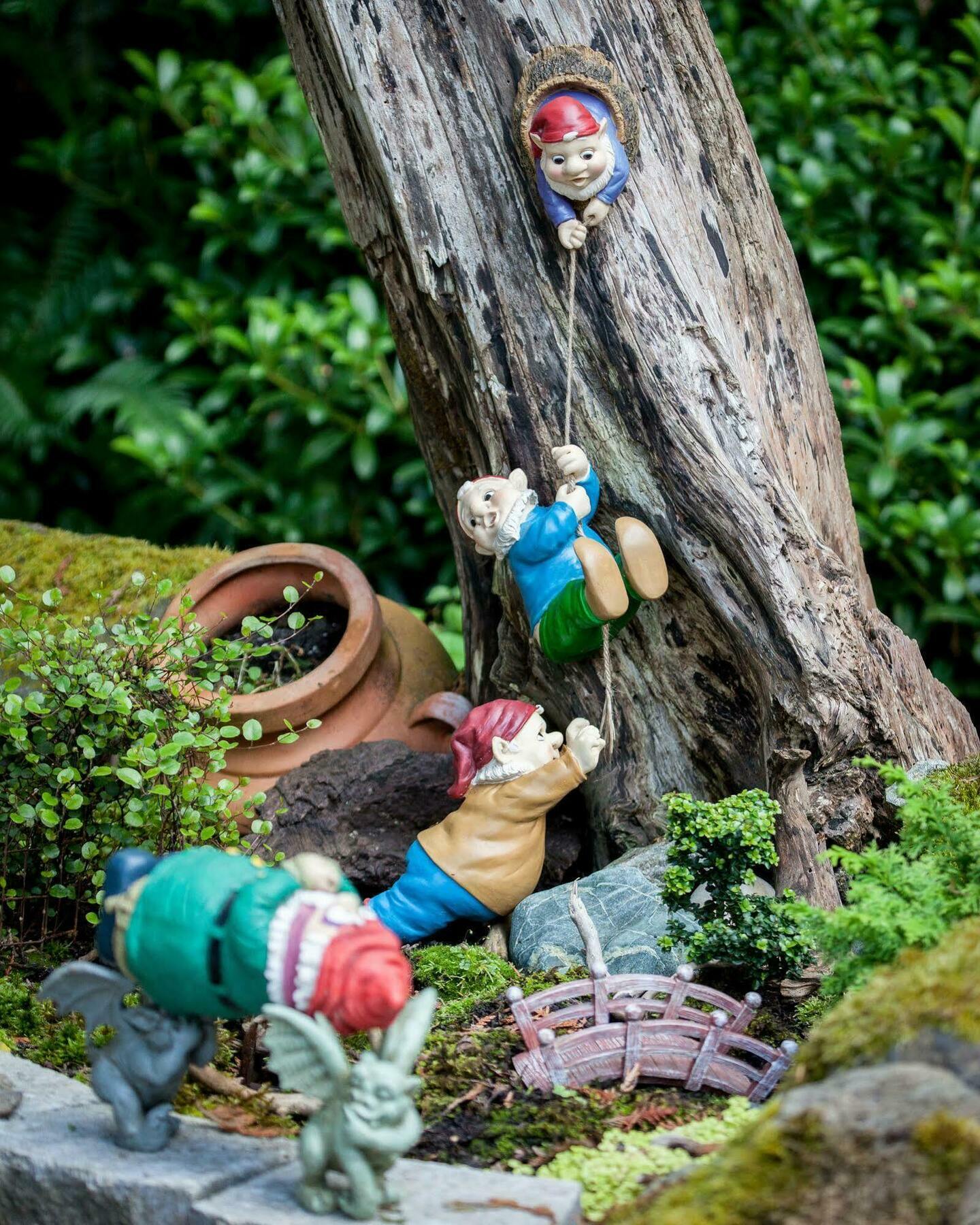 Sea Cliff Gardens Bed and Breakfast Port Angeles Buitenkant foto