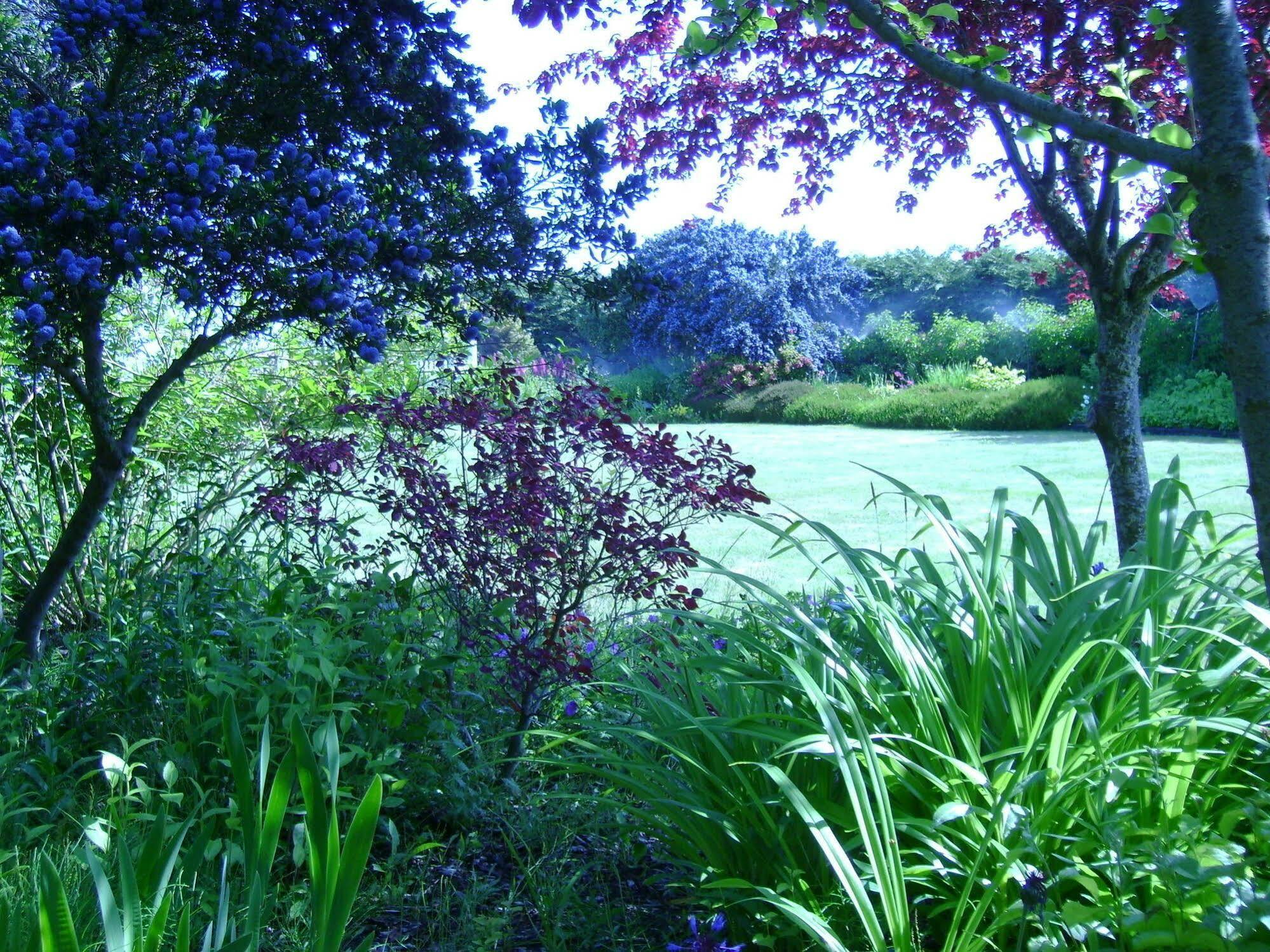 Sea Cliff Gardens Bed and Breakfast Port Angeles Buitenkant foto